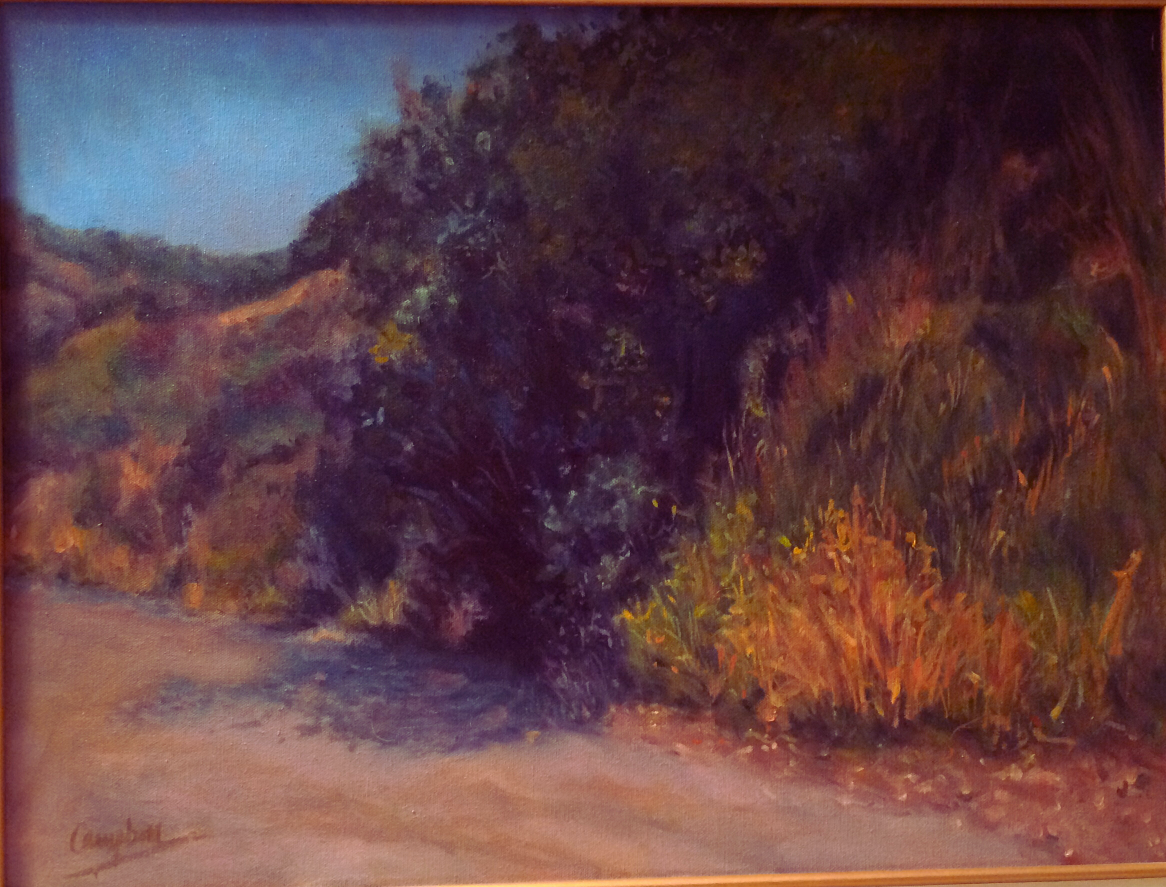 Catalina  Strollin’ -  Oil on canvas